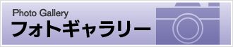 フォトギャラリー